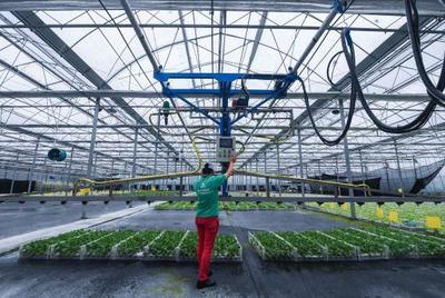 數(shù)字牧羊人 智能農(nóng)業(yè)管理如何重塑北歐工作與生活平衡