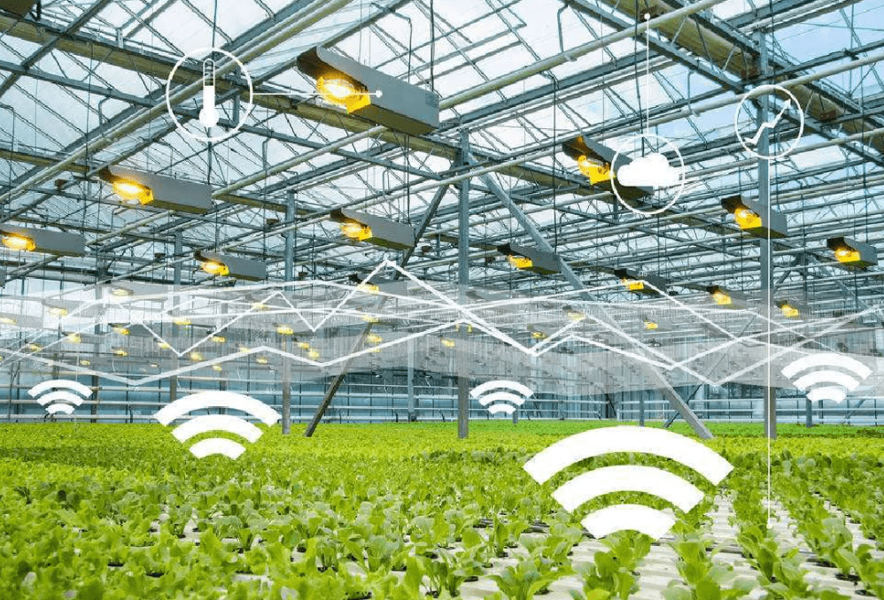 物聯(lián)網(wǎng)時(shí)代下，物聯(lián)卡在智慧農(nóng)業(yè)中的應(yīng)用場(chǎng)景與特性解析